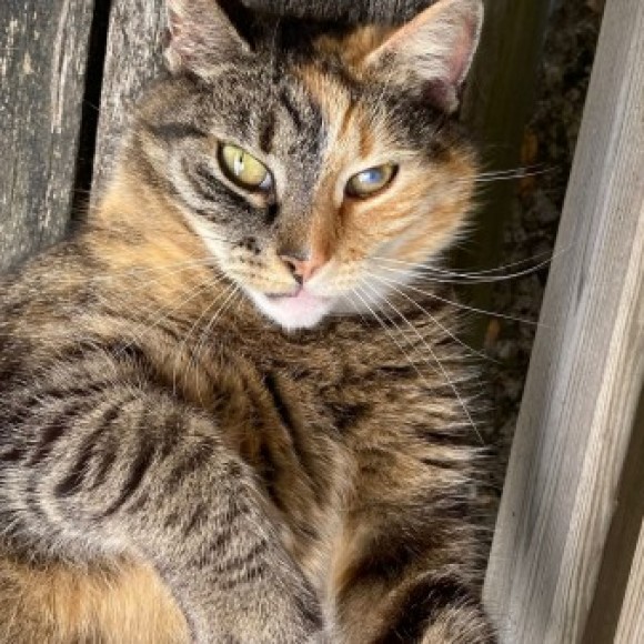 Profielfoto van Dolly May