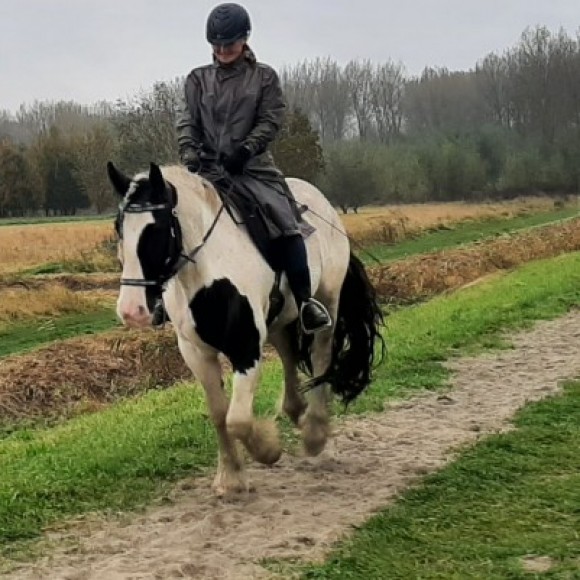 Profielfoto van Angel